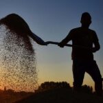 ciftcileri sevindiren haber geldi CiPidxUv