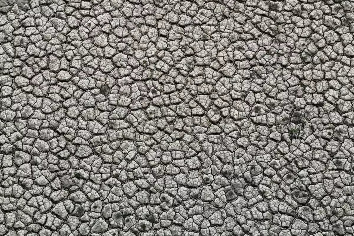 goruntu turkiyenin tarim merkezinden cekilen fotograflar kitligin habercisi 142d46ZO.jpg