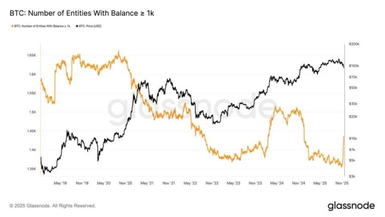 bitcoin-accumulation-amid-market-weakness-sharp-rise-in-1k-btc-holders-suggests-so-Y92B7Ixg.jpg