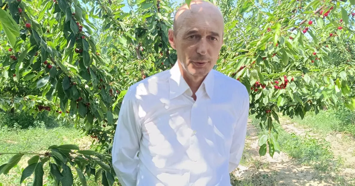 Enez’de kiraz bahçelerine RES köylüleri ayağa kaldırdı