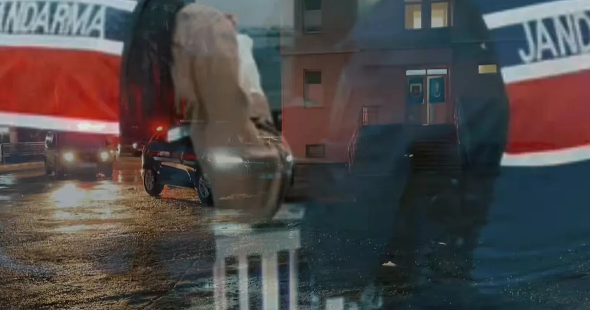 6 ilde dev operasyon! 9 organize suç örgütü çökertildi!