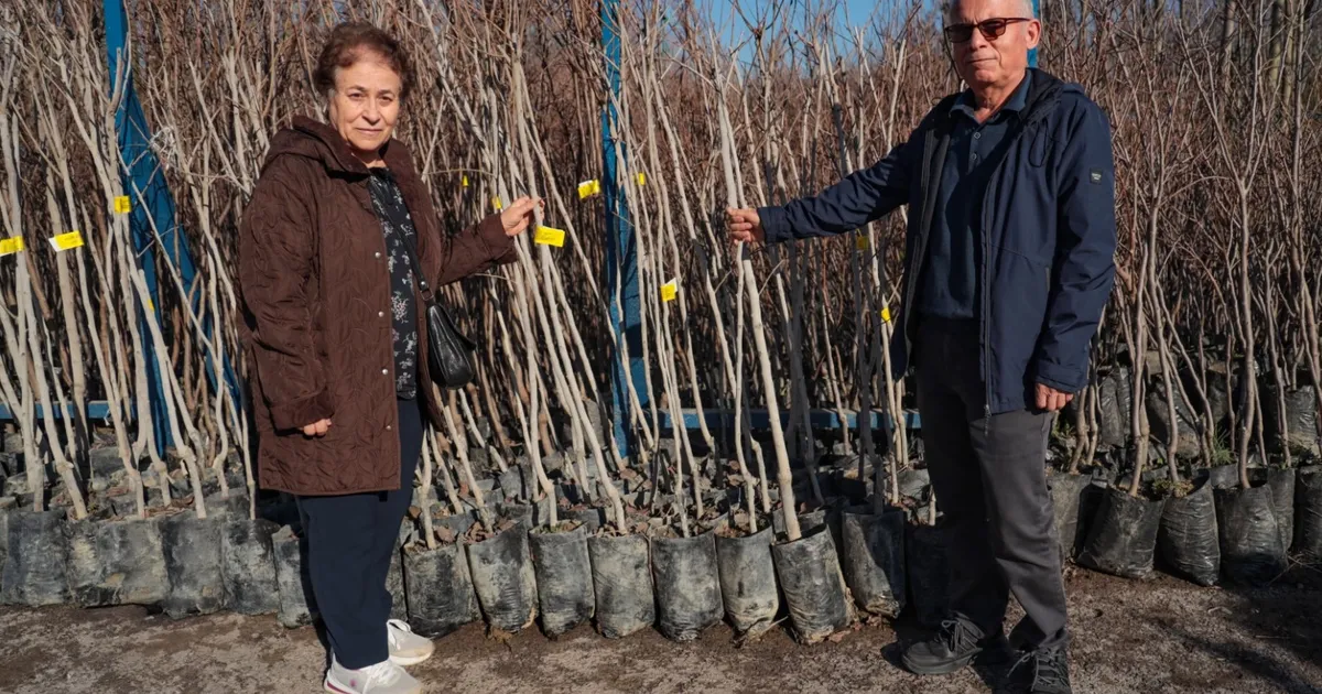 Kocaeli’nin fidan desteği meyvelerini veriyor