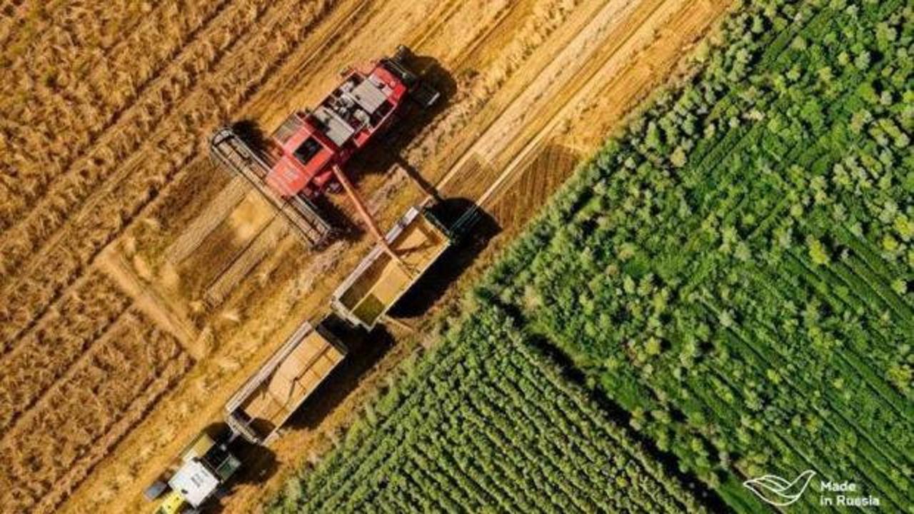 Rusya’dan Türkiye’ye tarım ihracatı %85 arttı: Ulusal marka Made in Russia bu artışta nasıl bir rol oynadı