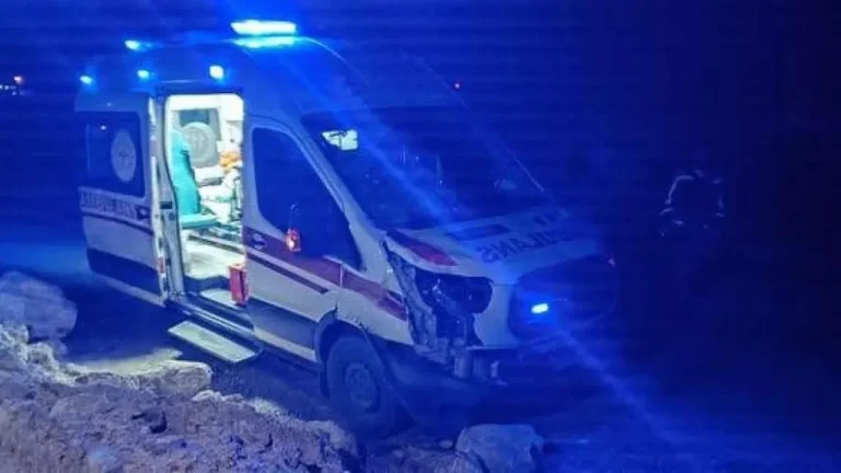 siirtte-hasta-tasiyan-ambulans-basibos-ata-carpti-at-telef-oldu-Pn5Y9fJz.webp