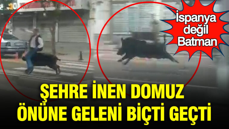 sehre-inen-domuz-onune-geleni-bicti-gecti-ispanya-degil-batman-7yfVkM3f